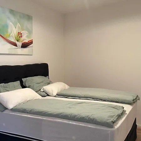 Haus Crisan- Garconniere Апартаменты