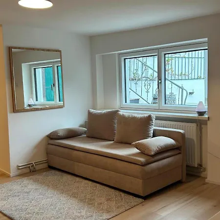 Апартаменты Haus Crisan- Garconniere