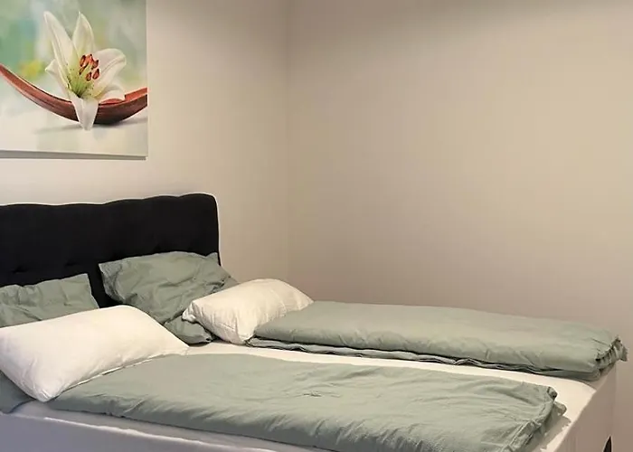 Haus Crisan- Garconniere Apartman