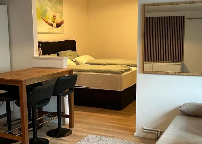 Apartman Haus Crisan- Garconniere