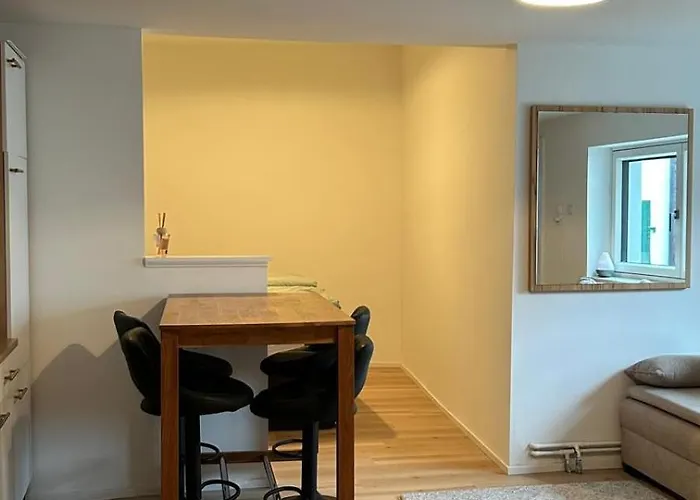 Apartman Haus Crisan- Garconniere *